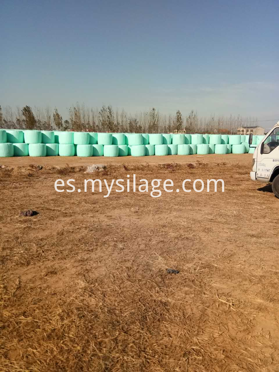 Paleta de embalaje de maíz Corn Wrapping Bale